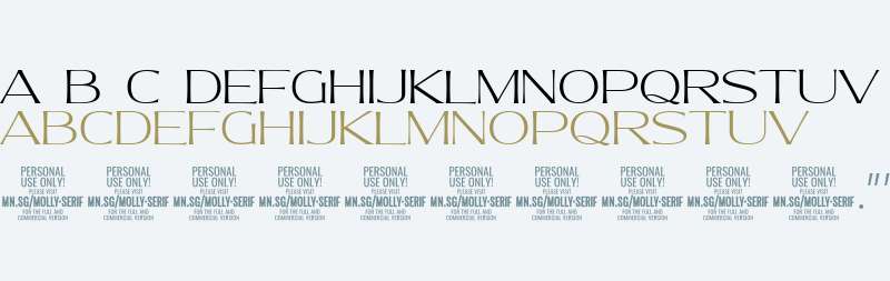 Molly Serif E PERSONAL Thin