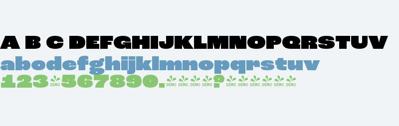 FSP DEMO - Rc Grtsk Wd Hvy