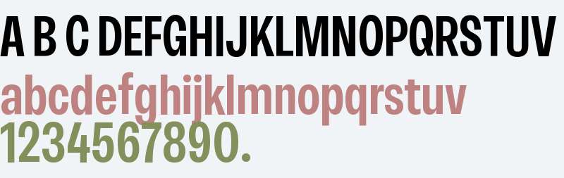 RB Rational Neue Condensed Test SmBd