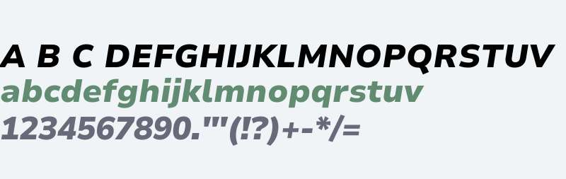 Nunito Sans 7pt Black