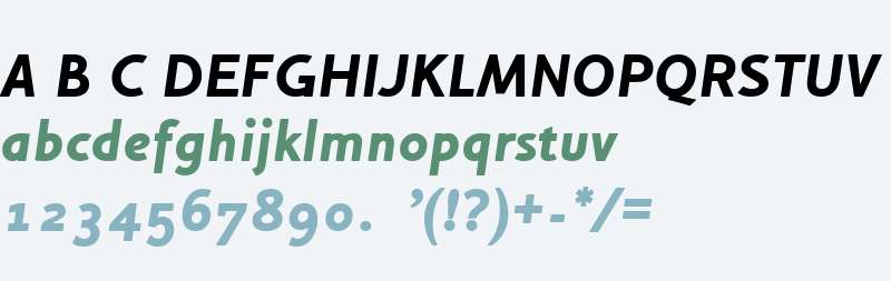 Houschka Alt-BlackItalic W00 Rg