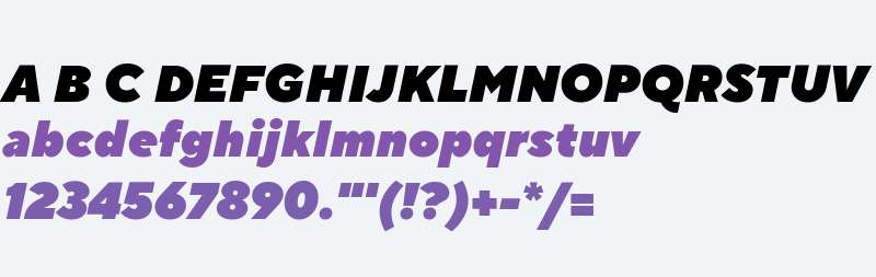 TTNormsPro-ExtraBlackItalic