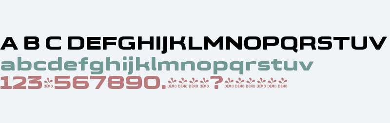 FSP DEMO - Qbr xp-xtrBld