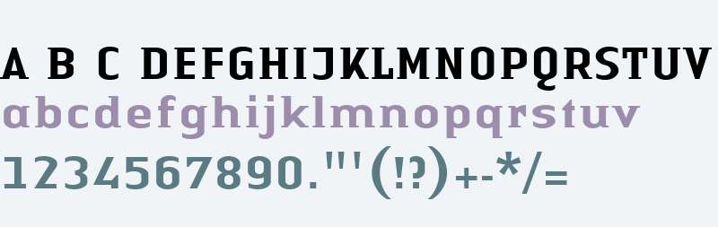Authentic Small Serif W04 Md