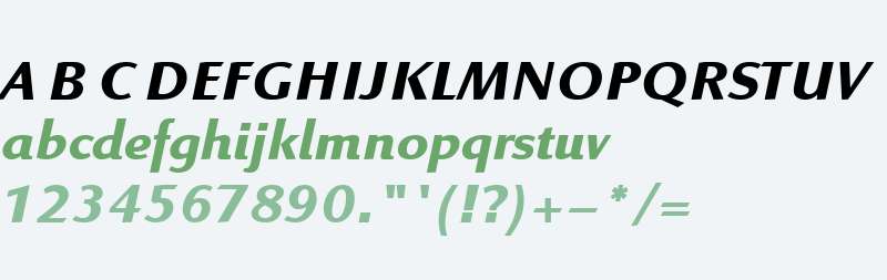 Linex Sans W01 Bold Italic