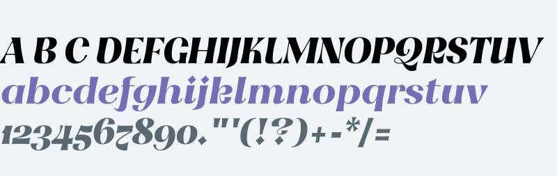 Meeko FY W03 Italic