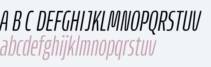 Paddock UltraCondensed Test Light