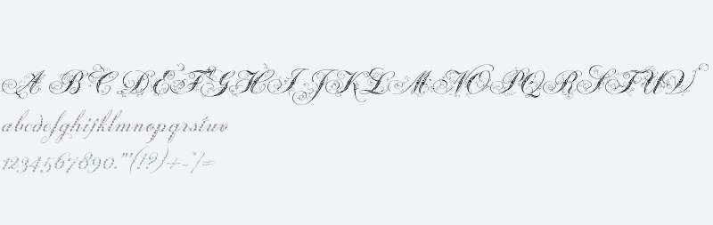 Weingut Script W00 Regular