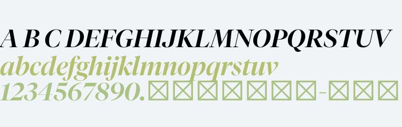 Test Tiempos Fine Medium