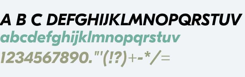 GT Eesti Pro Display Bold Italic