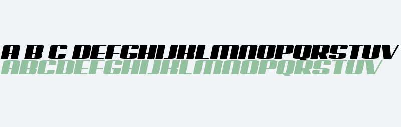 Possession Book Italic