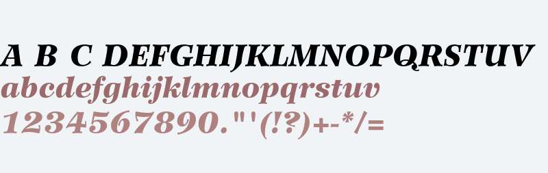 Wilke LT Std 96 Black Italic