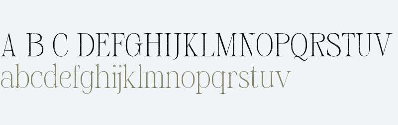 Risley Vintage Demo Stamp