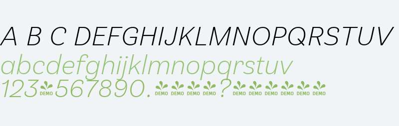 FSP DEMO - Klainy Light Italic