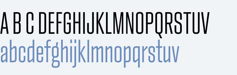 Monte Stella Trial Light