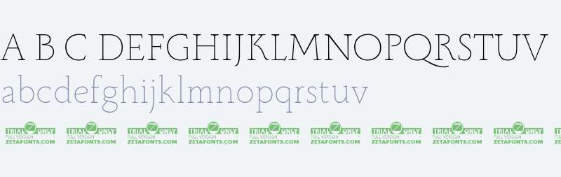 Monterchi Serif Trial Thin