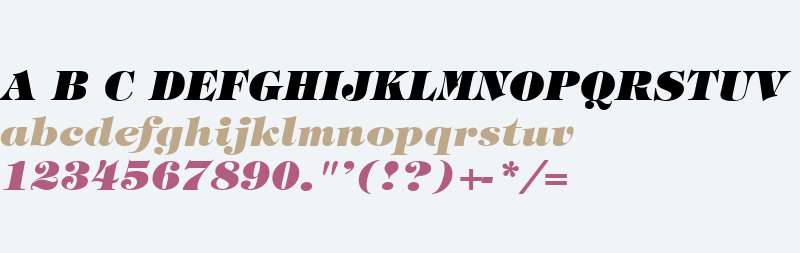 PL TimpaniHeavy Italic:001.003