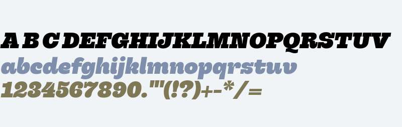 Hernandez Niu W00 Heavy Italic