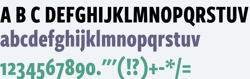 FreightSansCmp W03 Bold