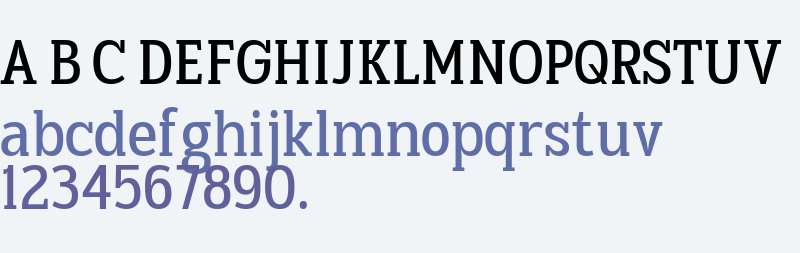 TBJ Goslap Lt SmCn Display