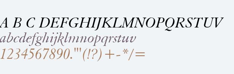 Elegant Garamond W01 Italic