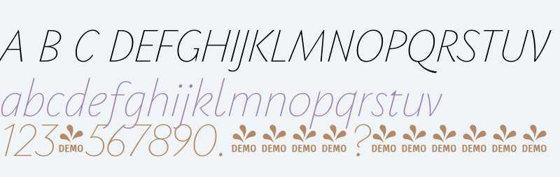 FSP DEMO - PGF-Now Thin Italic