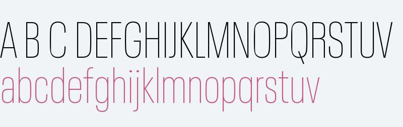 Neue Plak W04 Condensed Thin