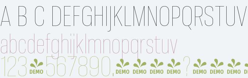 FSP DEMO - Molde Condensed-Thin