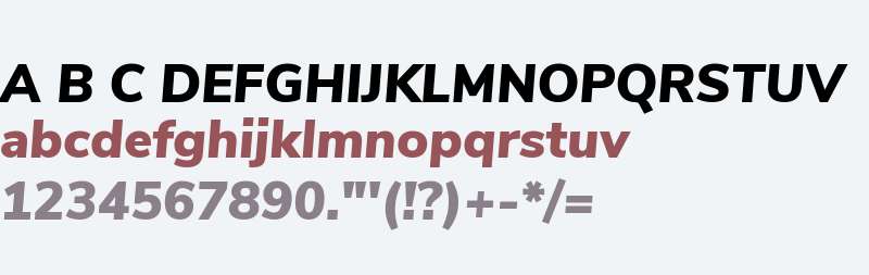 Nunito Sans Black Italic