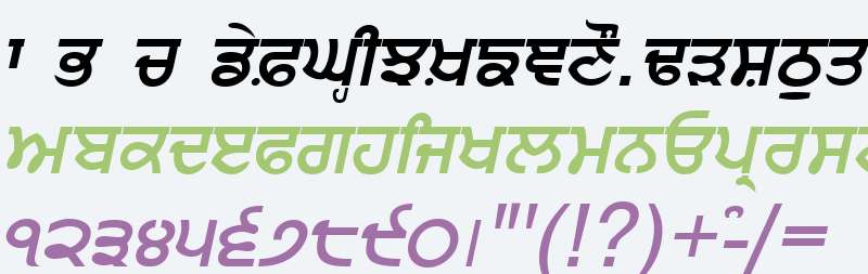 Punjabi Bold Italic