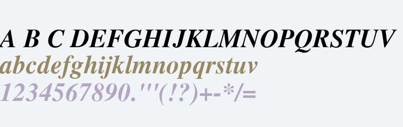 TGRoman Bold Italic