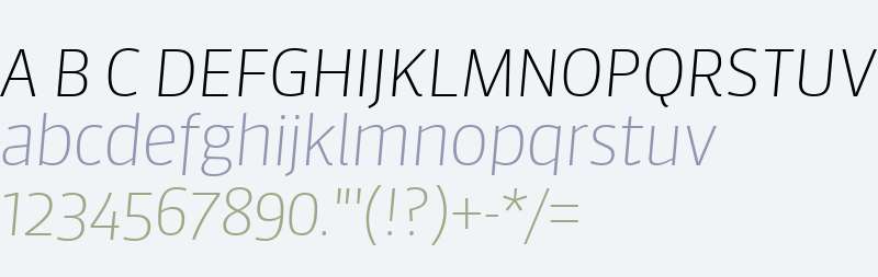 Sanuk Big W04 Thin Italic