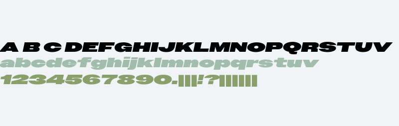 Owners TRIAL XXWide XBlack