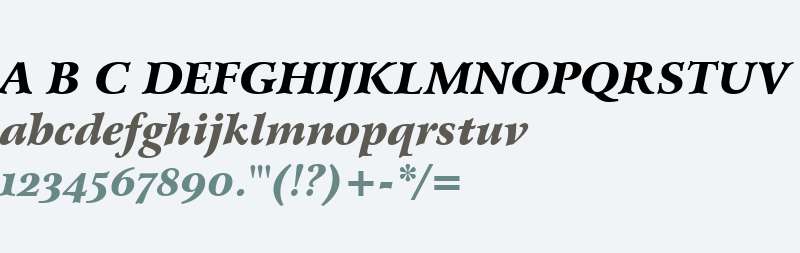 Arrus BT W01 Black Italic OSF