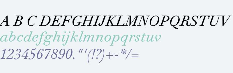 Didot eText W04 Italic