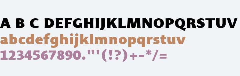 Organon Sans W03 UltraBlack