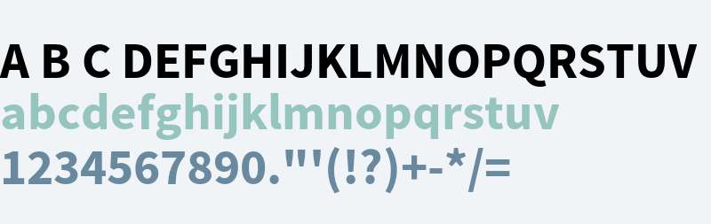 Source Sans Pro Bold