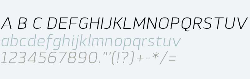 Lytiga W01 Light Italic