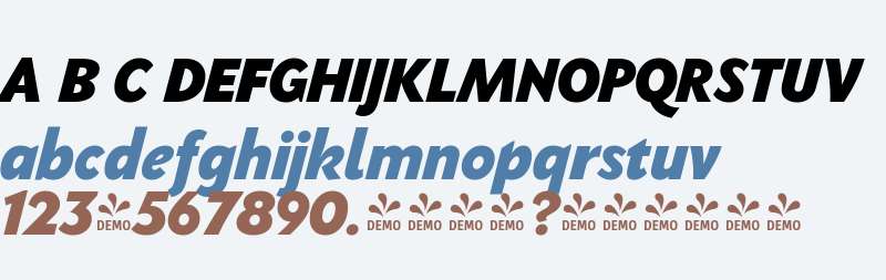 FSP DEMO - PGF-Now Black Italic