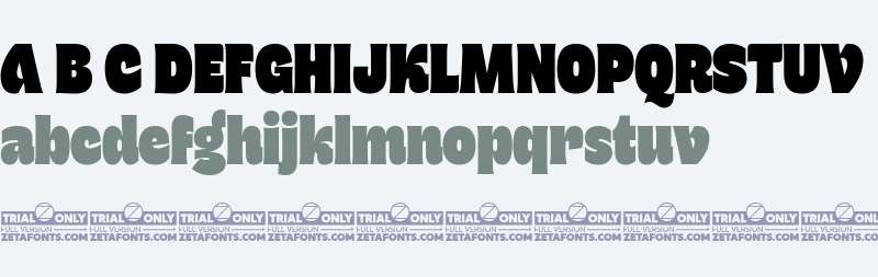 Freitag Display Trial L