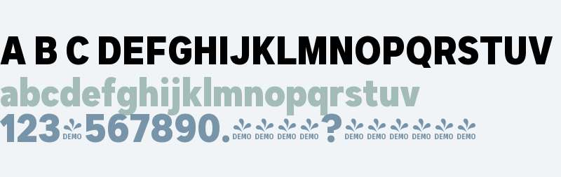 FSP DEMO - Dexa Pro Nr ExtBd