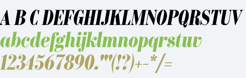 Bw Pose No 3 DEMO ExBold Italic