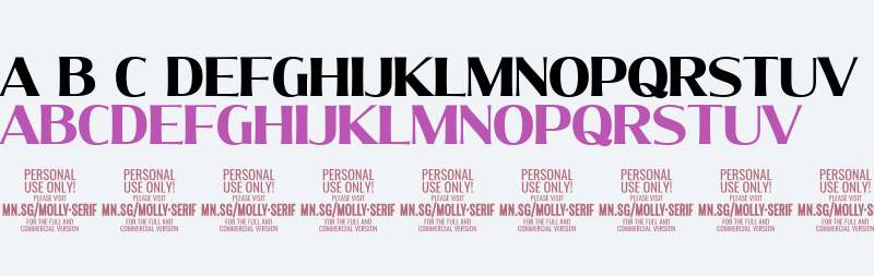 Molly Serif N PERSONAL Bold