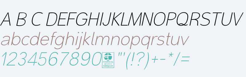 Malter Sans Thin Italic Demo