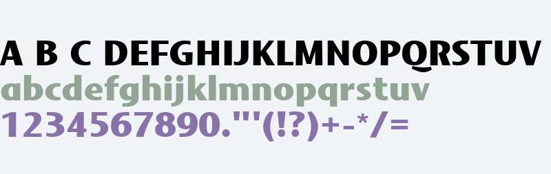 Mosquito Formal W04 Black