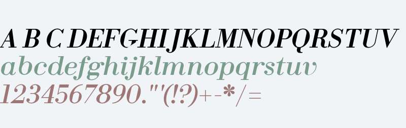 Fin Serif Display Italic