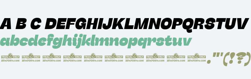 Stinger Trial Heavy Italic