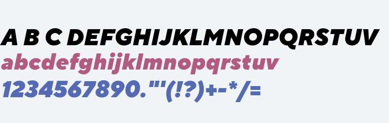 TTNormsPro-BlackItalic