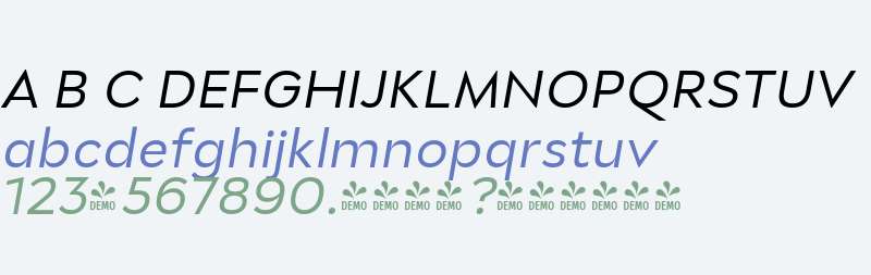 FSP DEMO - Stray Regular Italic