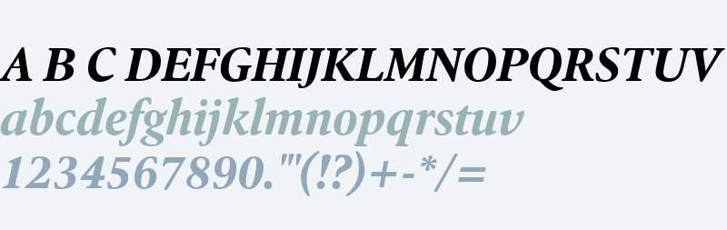 Argos W04 Bold Italic